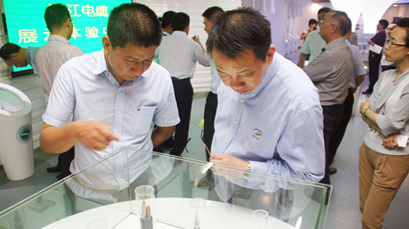 長沙市委領導考察湘江電纜高壓電力電纜生產工作