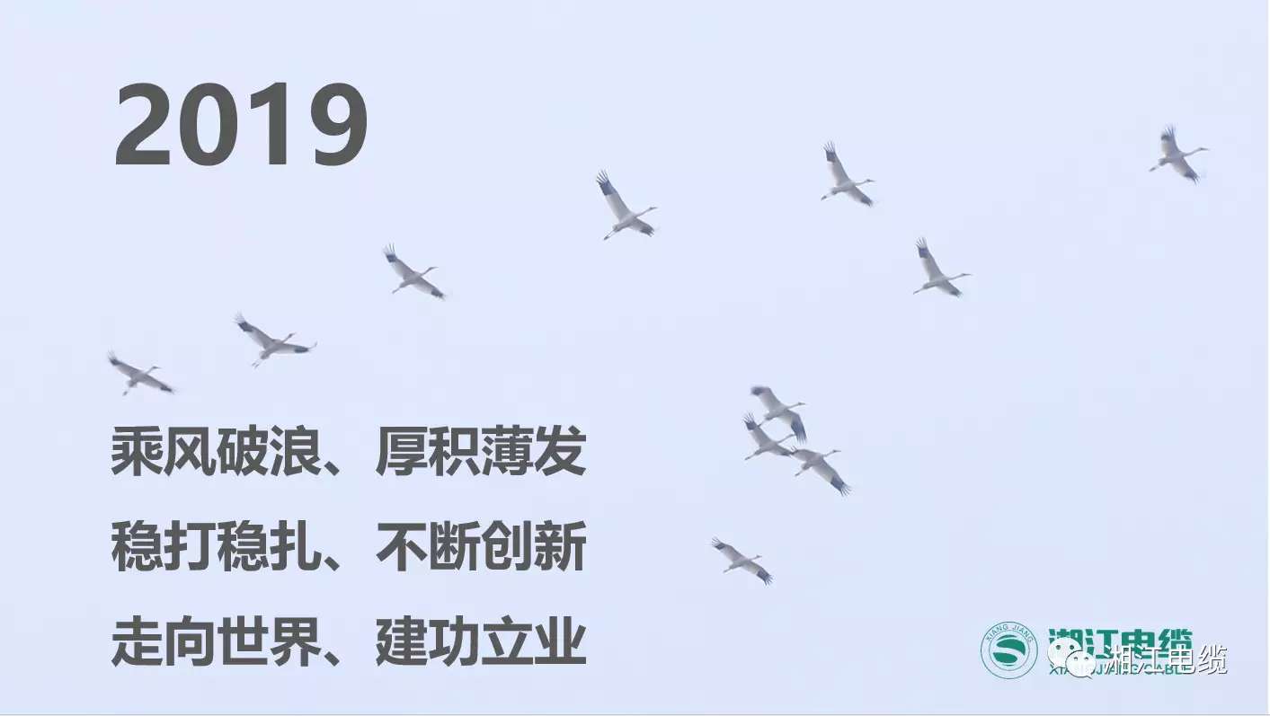 湘江電纜2019經(jīng)銷(xiāo)商會(huì)議暨迎新年會(huì)盛大舉行